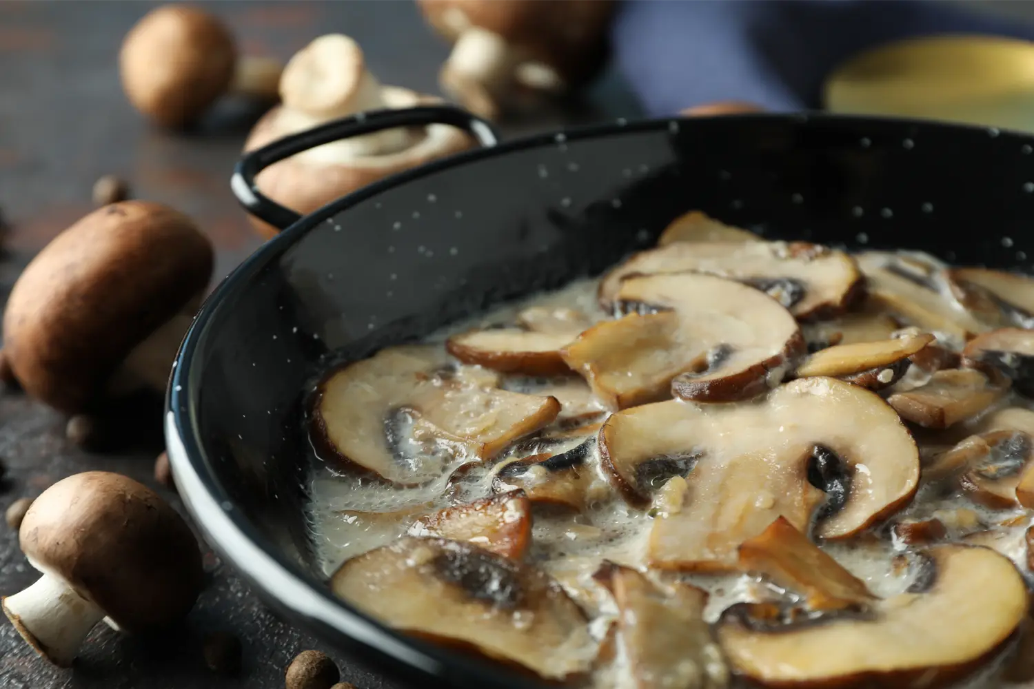 nos recettes aux champignons de paris agari breizh